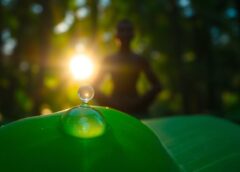 ¿Cómo Potencia El Agua La Sinergia Metabólica De Cuerpo Y Mente?